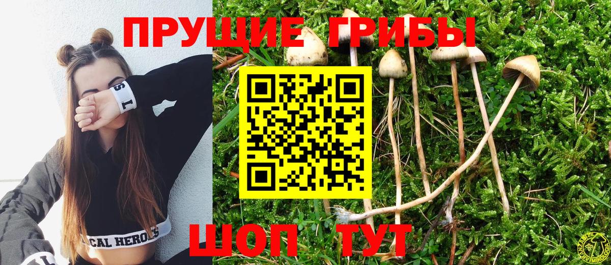 Псилоцибиновые грибы Magic Shrooms Дзержинск
