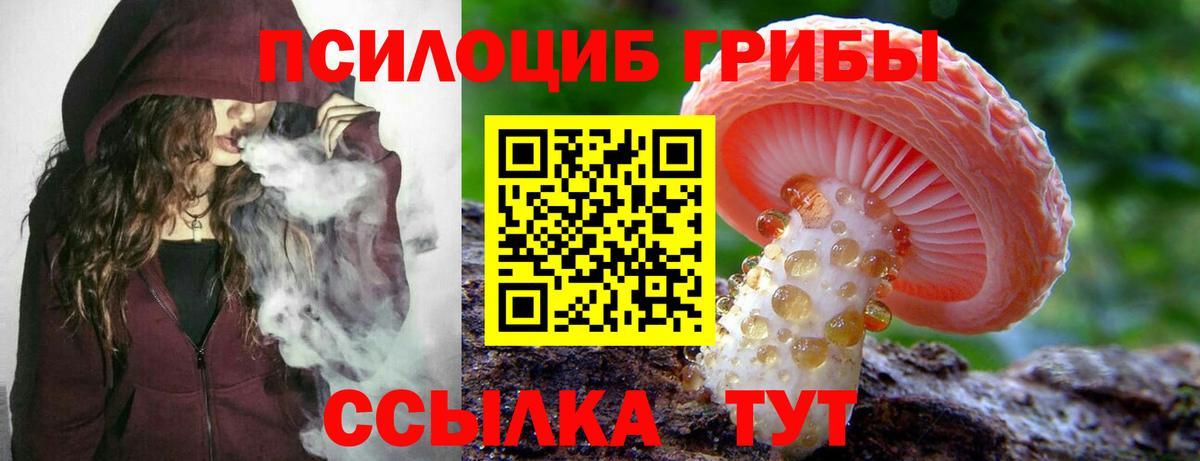 что такое   Псилоцибиновые грибы мицелий  Вход с VPN  Дзержинск 